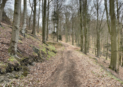 grubewarte_wachau_wandern