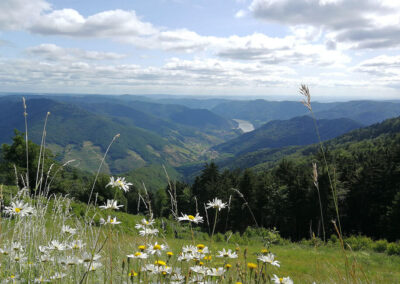 jauerling_naturpark_aussicht