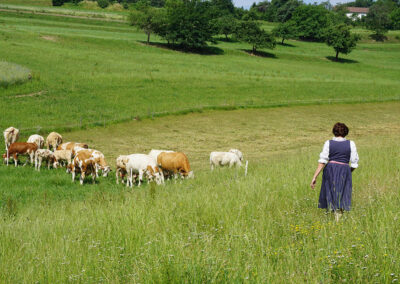 jauerling_naturpark_landwirtschaft