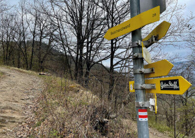 kreuzung_buschandlwand_wachau