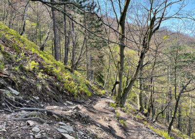 meurersteig_wachau_seekopf