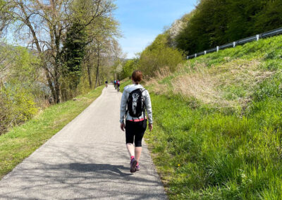 treppelweg_wachau