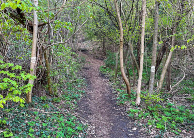 wandern_hirschwand_wachau