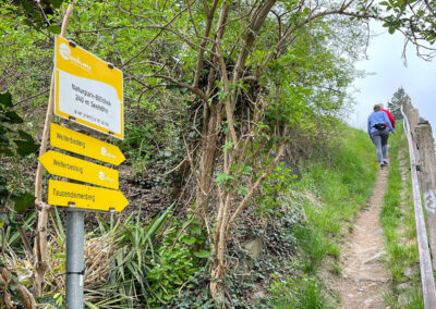 Tausendeimerberg_Spitz_Wachau