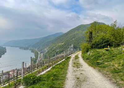 Tausendeimerberg_Spitz_Wachau_Hinterhaus