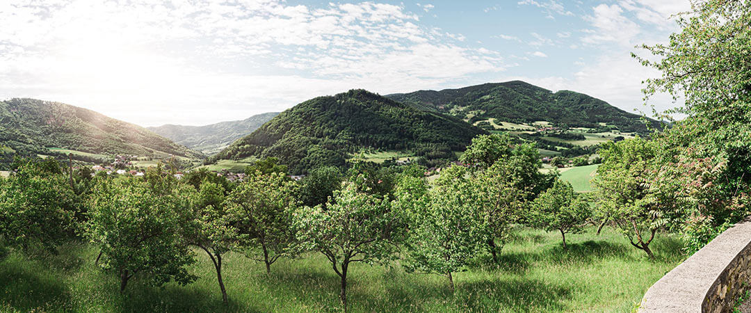 jauerling_naturpark_wachau