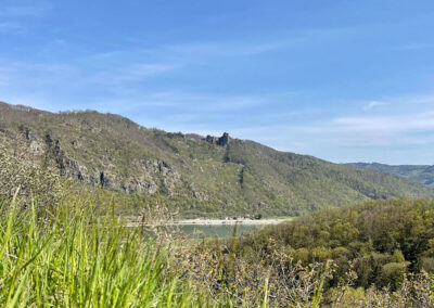 rundwanderung_willendorf_ruine-aggstein_wachau