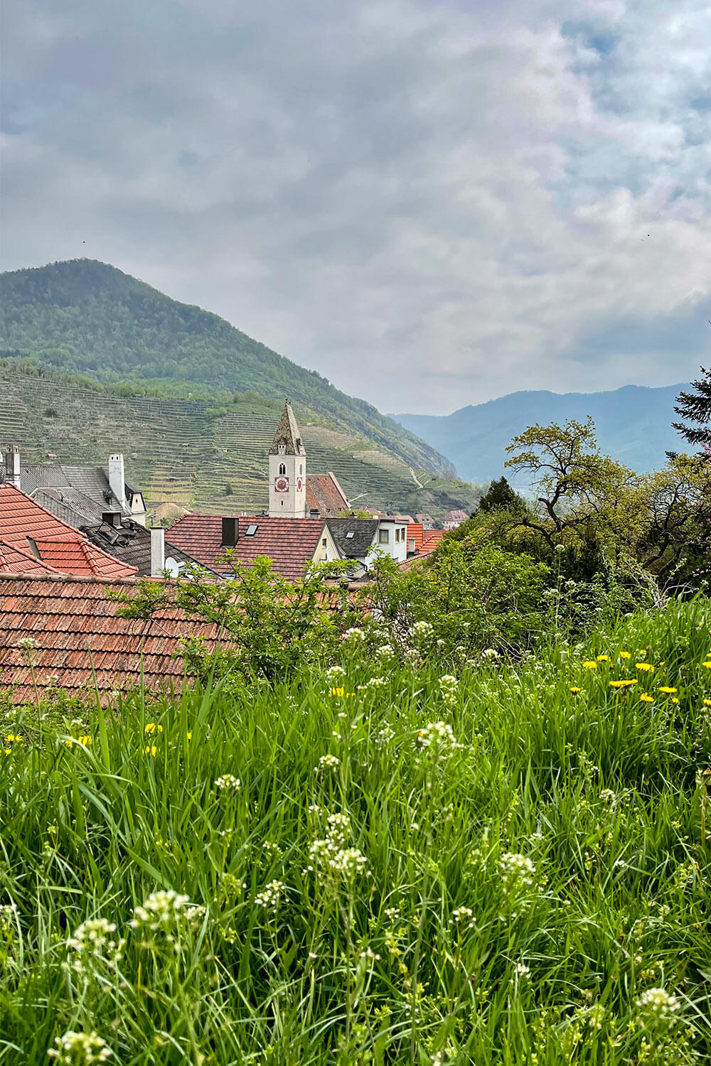 spitz_ausblick_wachau