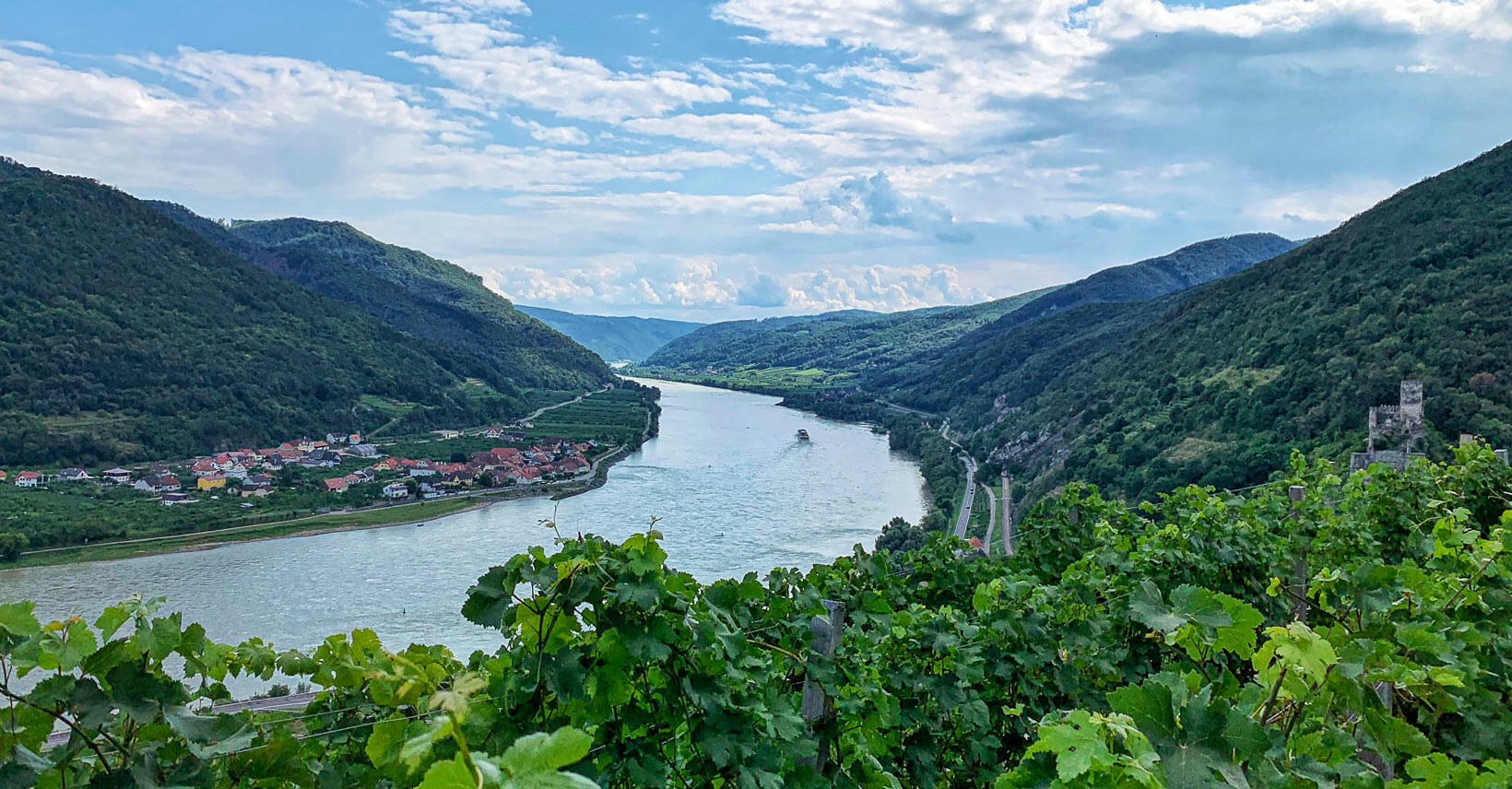 wandern_wachau_spitz_weinwanderweg