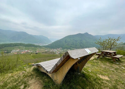 weinwanderweg_spitz_aussicht_wachau