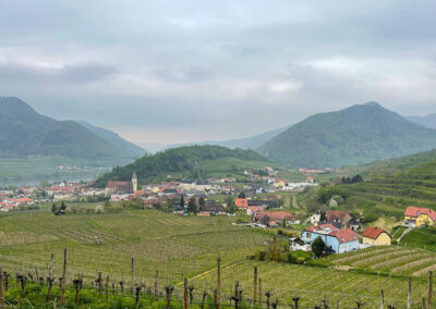 weinwanderweg_spitz_wachau_ausblick