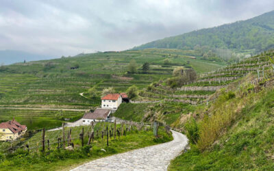 Weinwanderweg Spitz