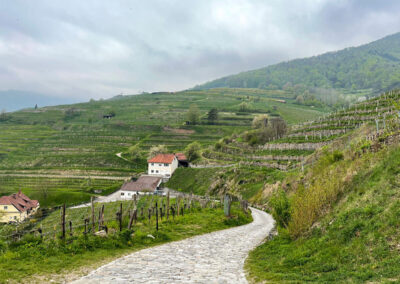 weinwanderweg_spitz_wachau_wandern