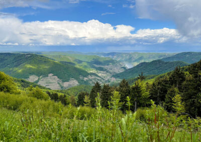 ausblick_wachauterrasse_jauerling