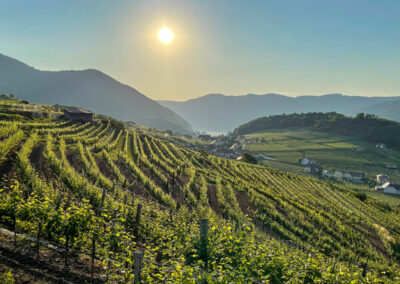 panoramaweg-spitzergraben_ausblick_spitz_wachau