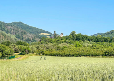 panoramaweg-spitzergraben_mühldorf_wachau