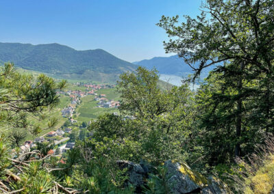 panoramaweg-spitzergraben_steirerhoeh_wachau