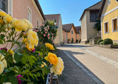 panoramaweg-spitzergraben_viessling_wachau