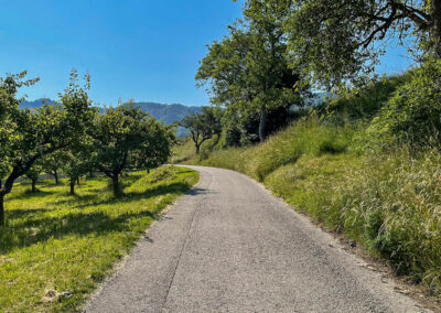 panoramaweg-spitzergraben_wachau-viessling