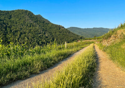 panoramaweg-spitzergraben_wandern