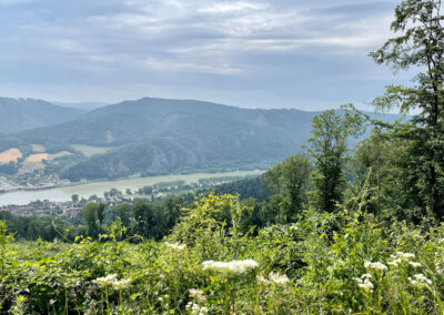 jauerling-runde_ausblick_aggsbach