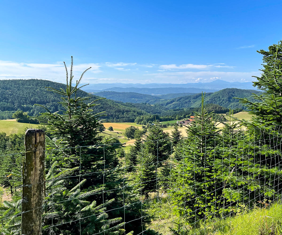 jauerling-runde_aussicht_weiten