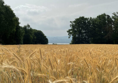 jauerling-runde_emmersdorf