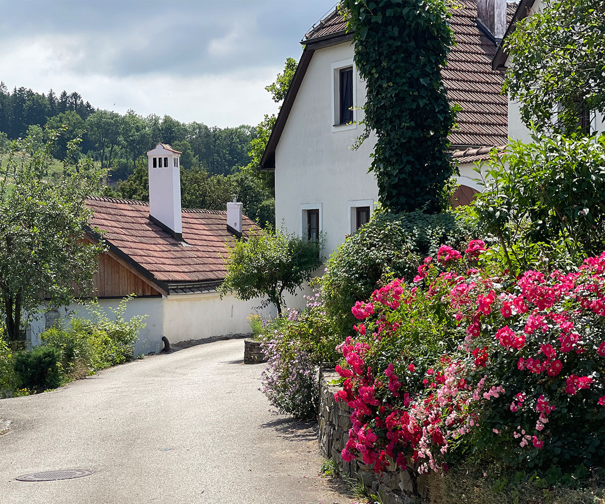 jauerling-runde_friedersdorf_wandern