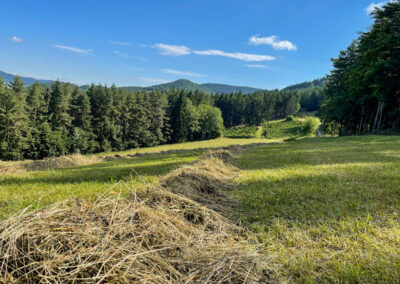 jauerling-runde_naturpark