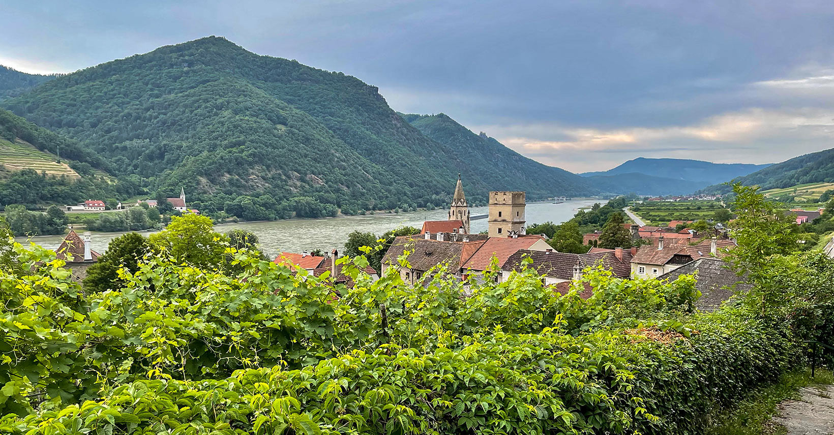 wandern wachau jauerling-runde