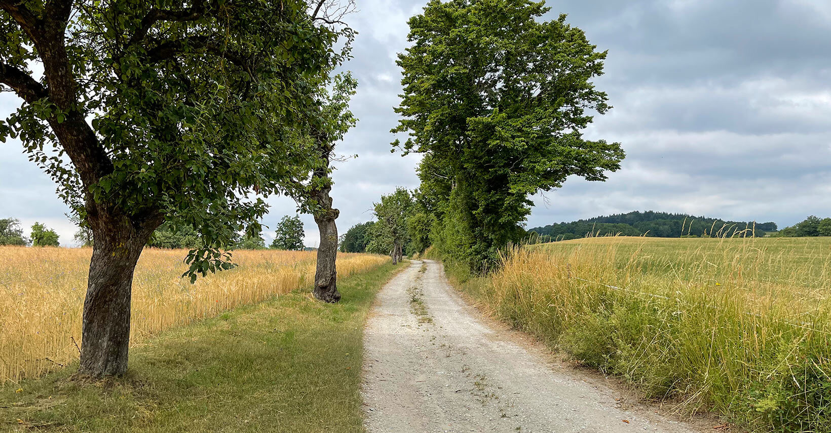 jauerling-runde_weitwandern_etappe2_wachau