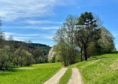 jauerling-runde_wachau_etappe3