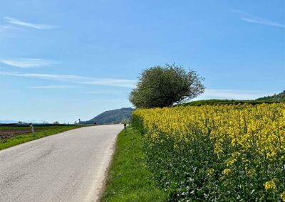 jauerling-runde_wachau_etappe3_nach-emmersdorf