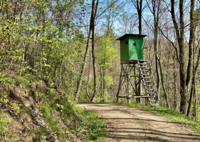 jauerling-runde_wachau_etappe3_waldweg