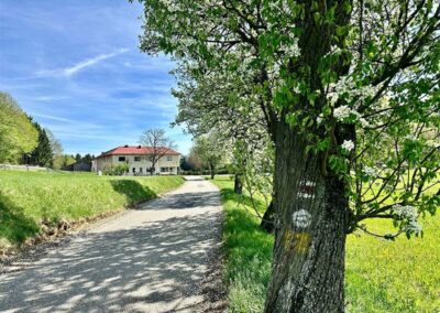 jauerling-runde_wachau_etappe3_wegmarkierung