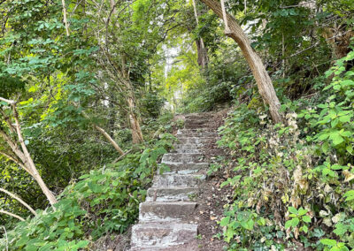 jauerling-runde_wachau_spitz_wandern