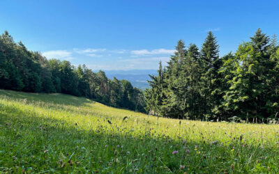 Jauerling-Runde Weiten – Raxendorf