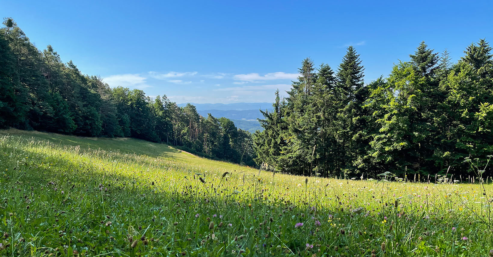 jauerling-runde_weiten_weitwanderung