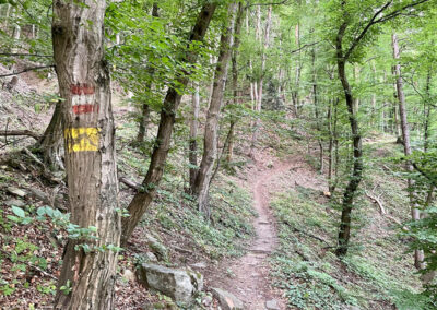 jauerling-runde_weitwanderung_wachau