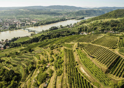 weingut_stadt_krems_falstaff_winzer_des_jahres_weinbau_verkostung_ausflugsziel_österreichische_traditionsweingüter