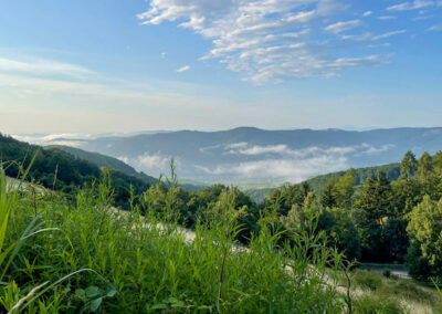 ausblick_seiber_wachau