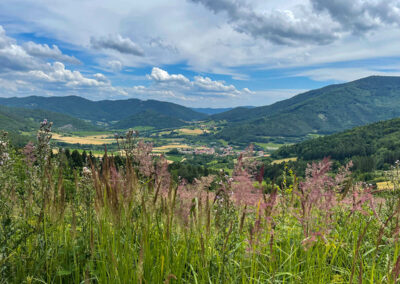 jauerling-runde_ausblick-trandorf