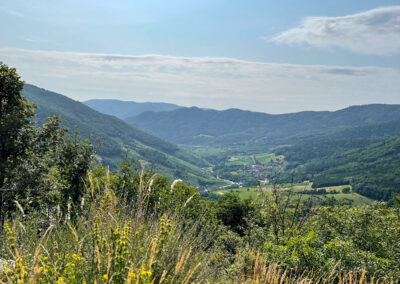 jauerling-runde_ausblick-trenning