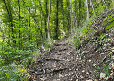 jauerling-runde_mühldorf_waldweg