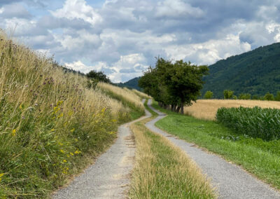 jauerling-runde_richtung-oetz