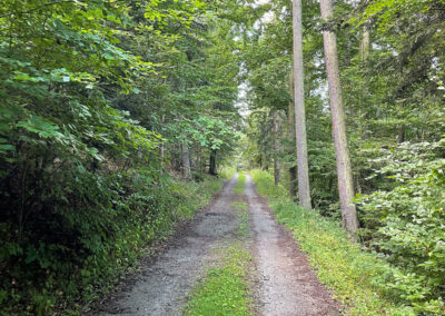 wanderung_buschandlwand_wachau