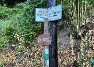 weinweg_weissenkirchen_wachau