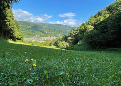 donaublick_wachau_welterbesteig