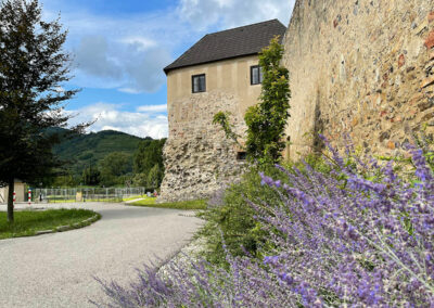 mautern_am-limes_welterbesteig_wachau