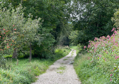 rossatz_wandern_welterbesteig